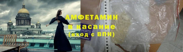 шишки Чердынь