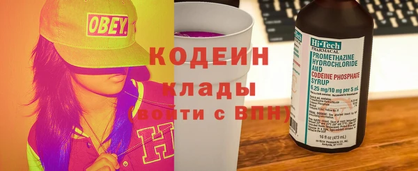 крисы Заводоуковск