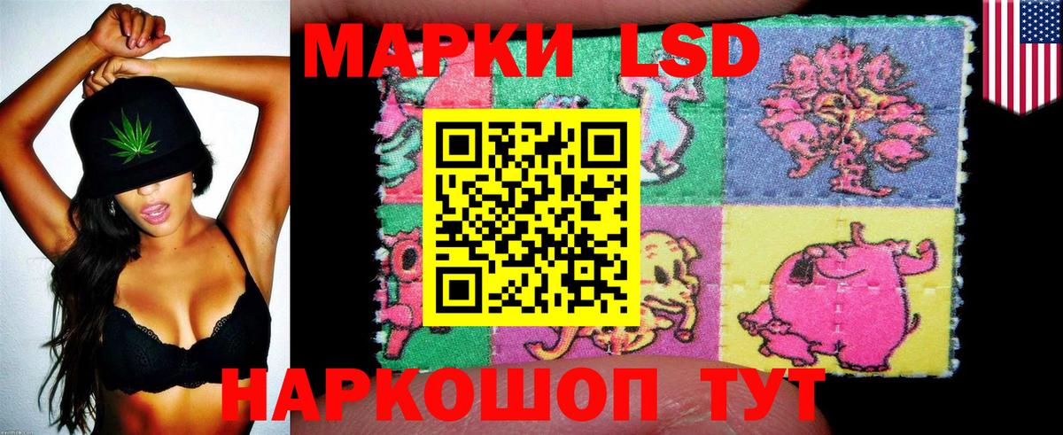 Узловая  Наркотические марки 1500мкг  Вход с VPN 