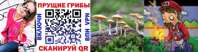 Псилоцибиновые грибы прущие грибы Узловая