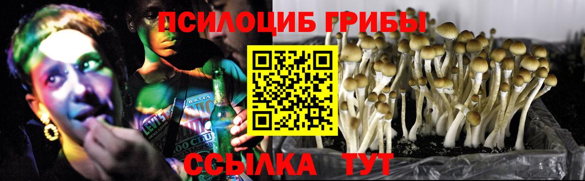 Узловая  Псилоцибиновые грибы GOLDEN TEACHER  Вход с VPN 